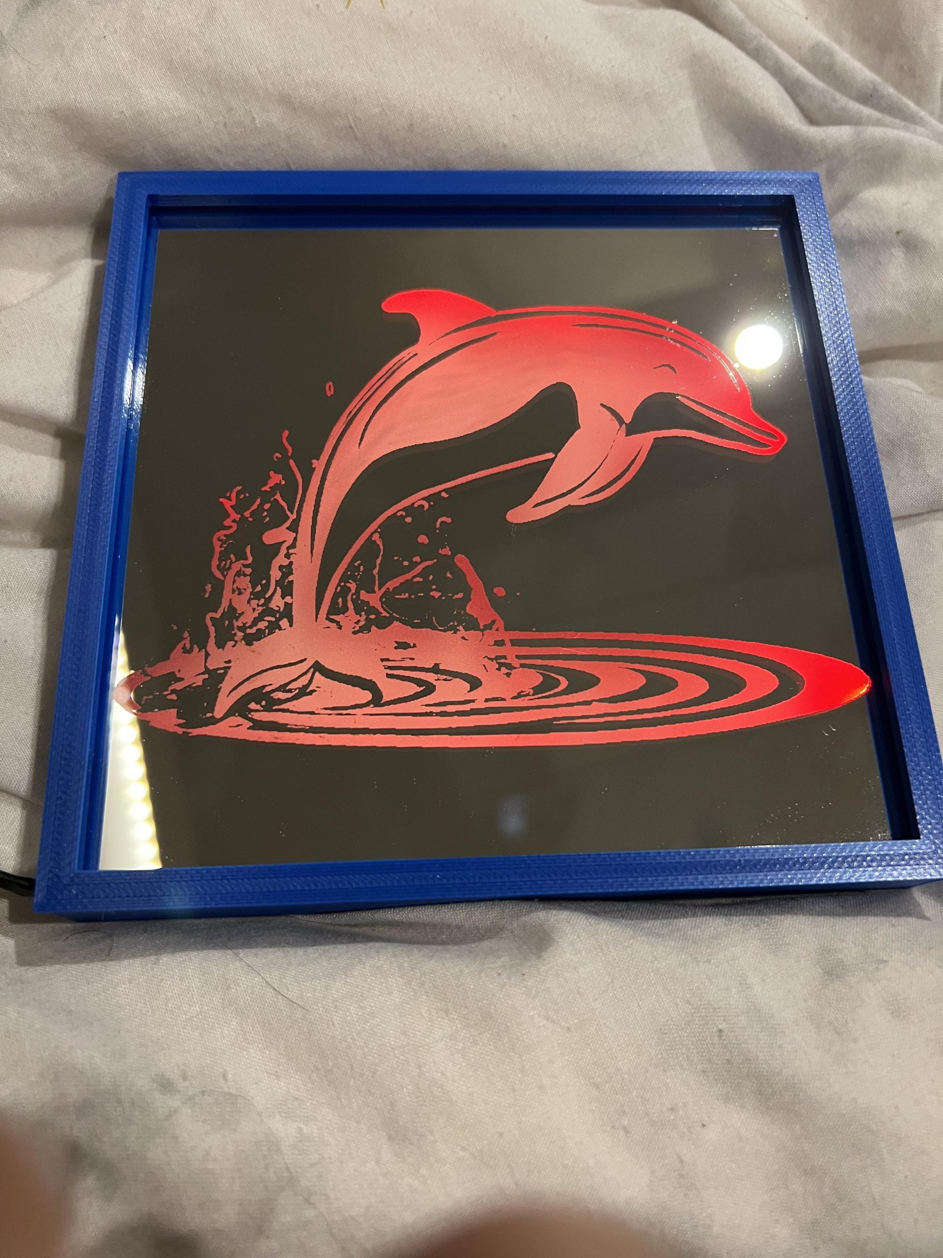 Cadre dauphin lumineux