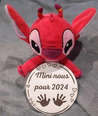 Mini nous pour 2024