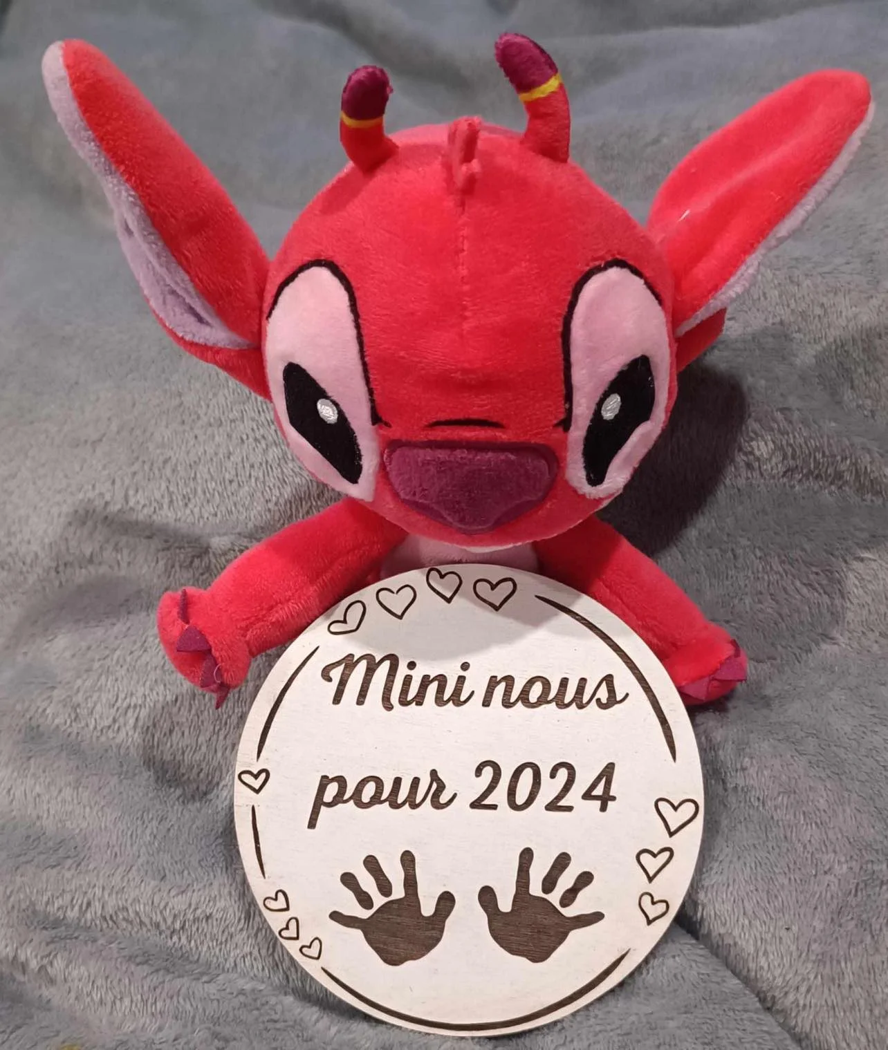 Mini nous pour 2024