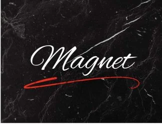 Magnet