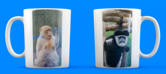 Mug Singe